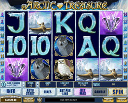 Arctic Treasure Screenshot